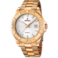 Montre Festina Femme in Acier F16788/1 - F16788/1